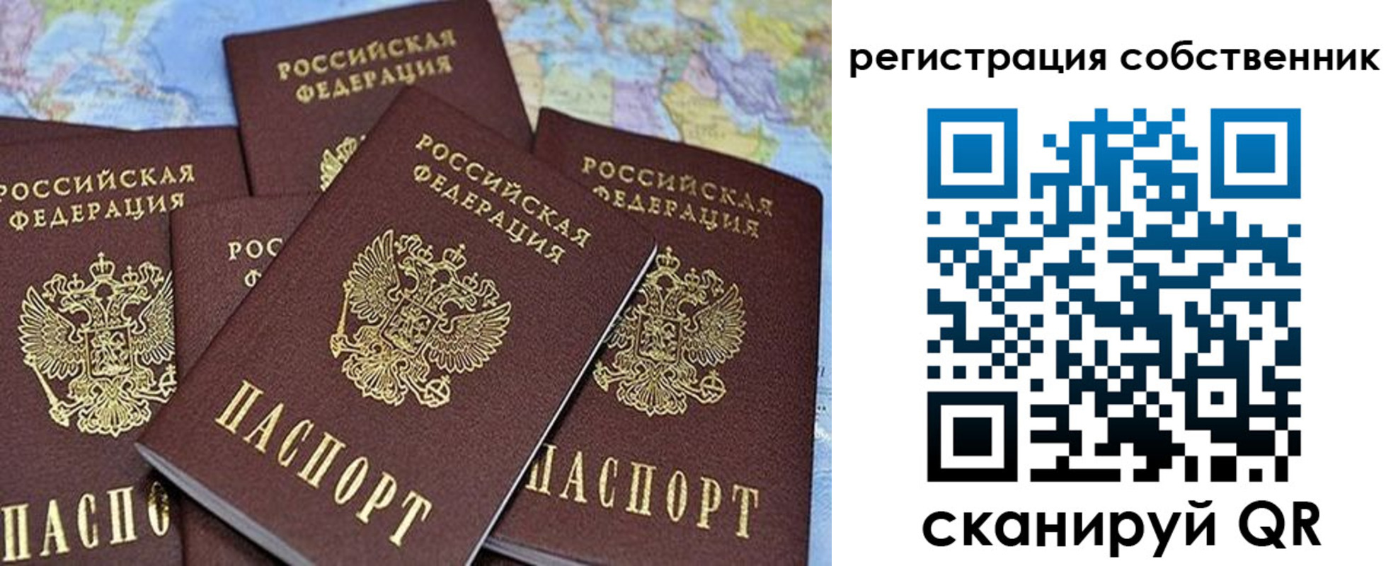 прописка для школы в Боровичах